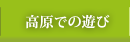 高原での遊び