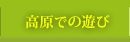 高原での遊び