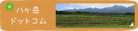 八ヶ岳ドットコム