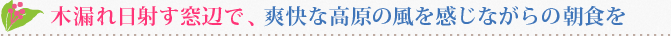 木漏れ日射す窓辺で、爽快な高原の風を感じながらの朝食を