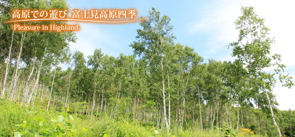 高原での遊び 富士見高原四季