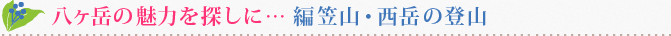 八ヶ岳の魅力を探しに･･･編笠山・西岳の登山